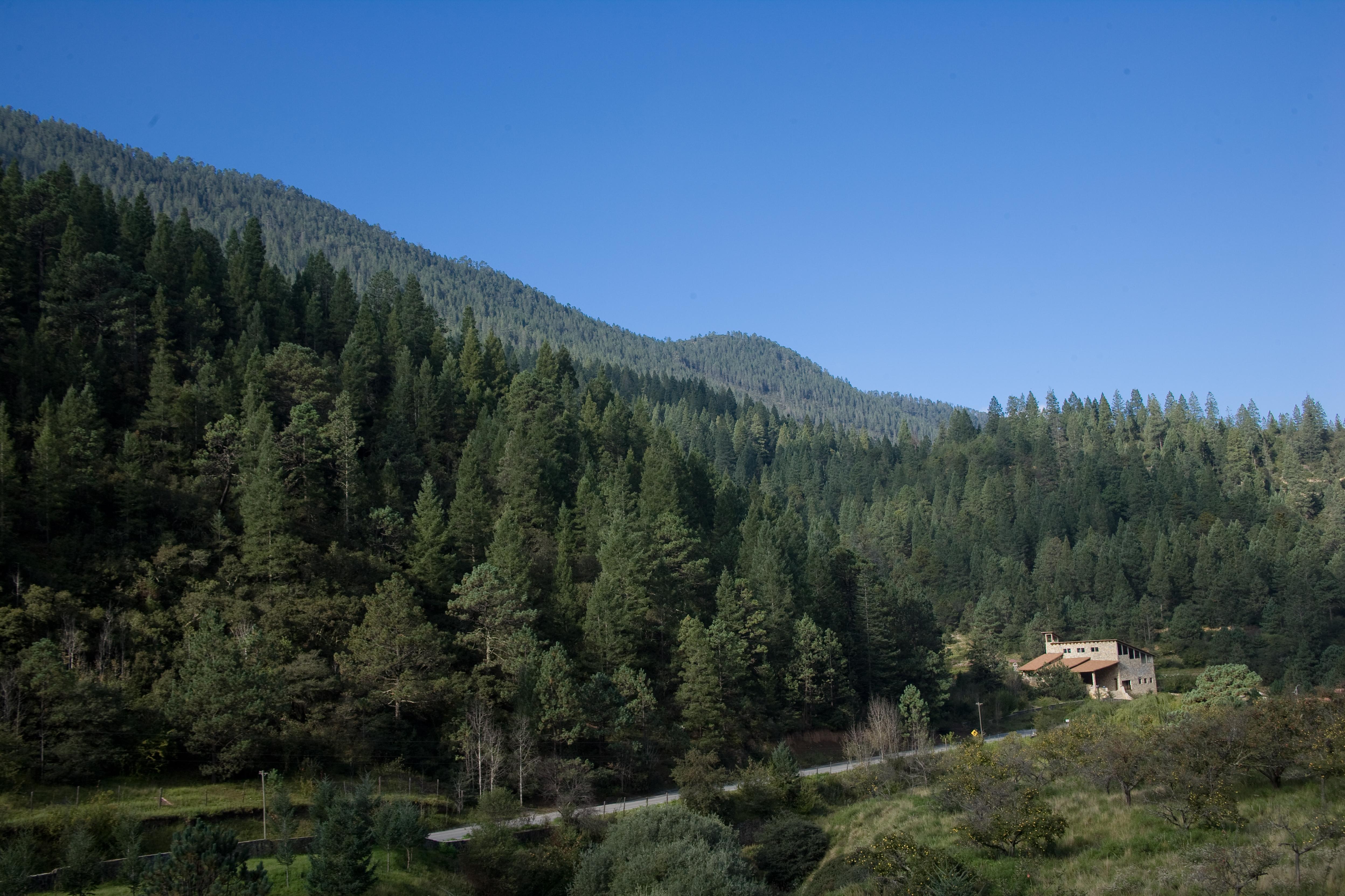 Hotel Bosques De Monterreal San Antonio de las Alazanas Exteriér fotografie